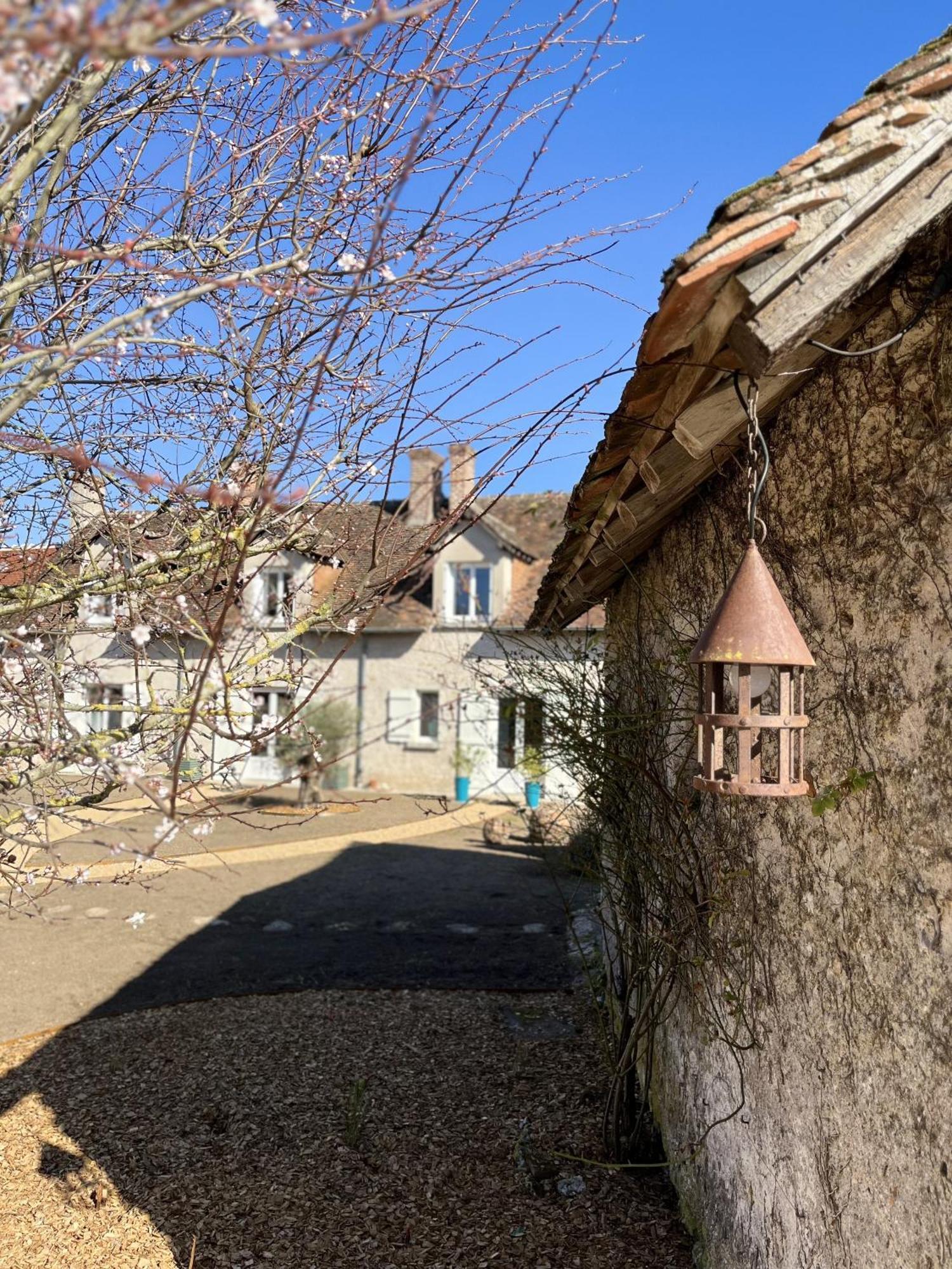 Bed and Breakfast Nuits De Loire -Entre Blois Et Chambord Vineuil  Pokój zdjęcie